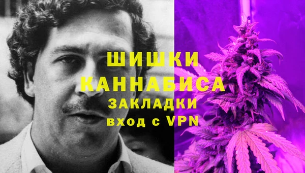 крисы Белокуриха