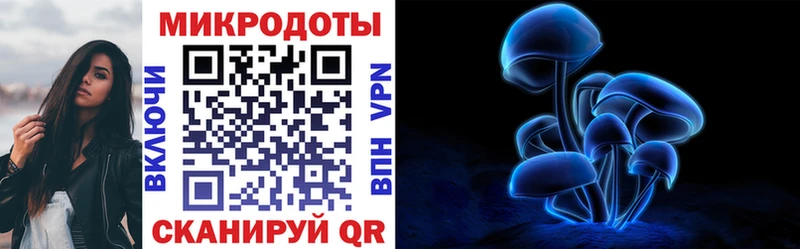Псилоцибиновые грибы мухоморы  Купить закладки  Саянск 